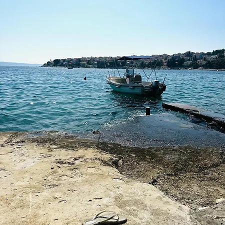 Medusalina-bora Trogir