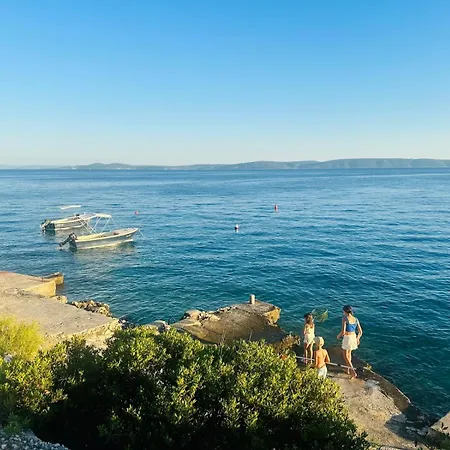 Medusalina-bora * Trogir