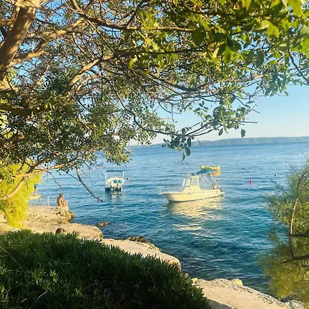 Medusalina-bora Trogir