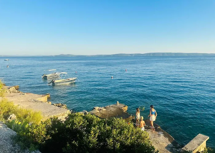 Medusalina-bora * 特罗吉尔