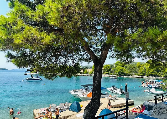 Medusalina-bora 公寓 *