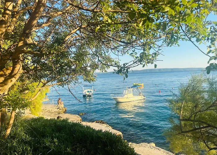 Medusalina-bora 特罗吉尔