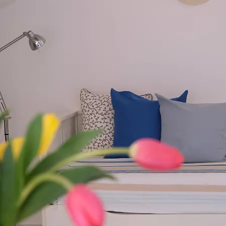 Medusalina-bora Daire